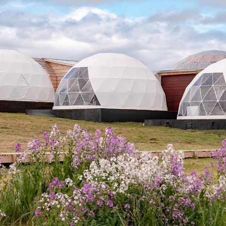 Вілла Garden Domes Пуерто-Наталес Екстер'єр фото