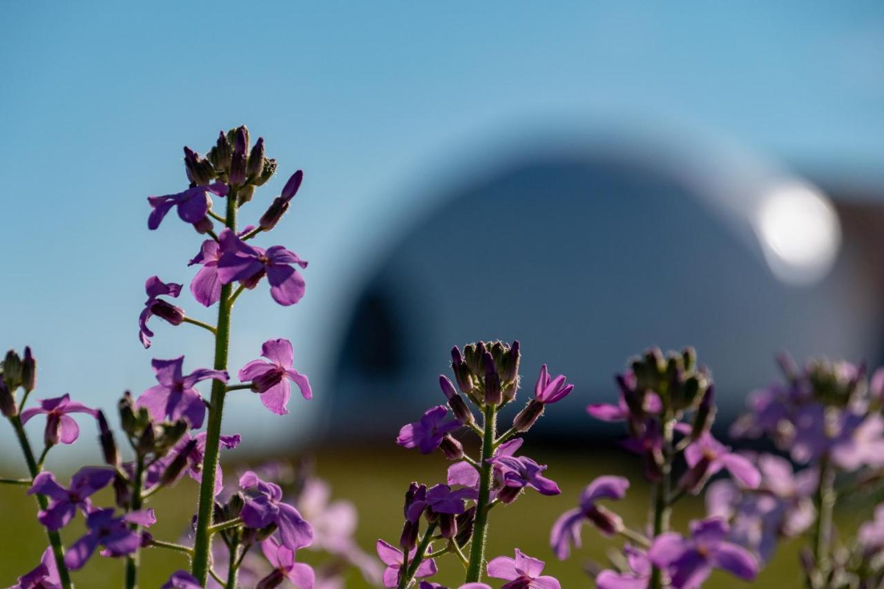 Вілла Garden Domes Пуерто-Наталес Екстер'єр фото